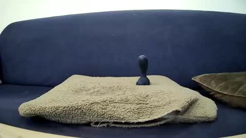 Snapshot of potipott1 chatting on 25, 7, 2026 mr vain online show from 25, 7, 2026