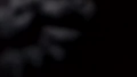 pretty_boy_jack online show from 28, 2, 2025