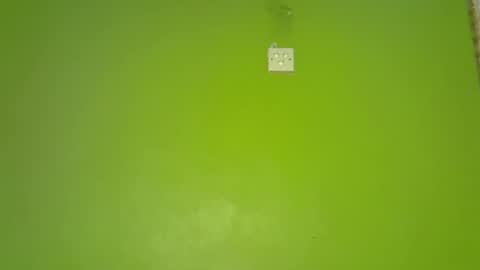 pretty_g2 online show from 1, 12, 2025