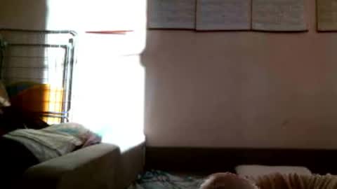 Snapshot of prettybella_7 chatting on 3, 11, 2025 Bella online show from 3, 11, 2025