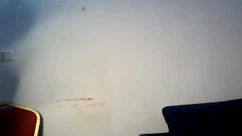 evelyn online show from 1, 3, 2026