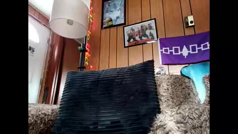 prettysolid7 online show from 12, 1, 2026