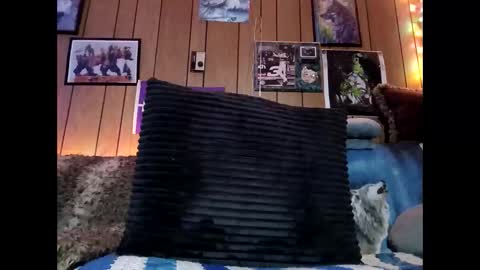 prettysolid7 online show from 13, 2, 2026