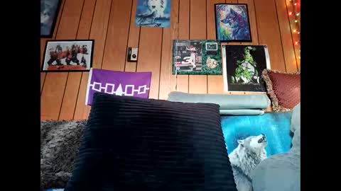 prettysolid7 online show from 15, 2, 2026