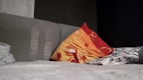 Snapshot of pretyboyl chatting on 12, 2, 2025 chubbymmm online show from 12, 2, 2025