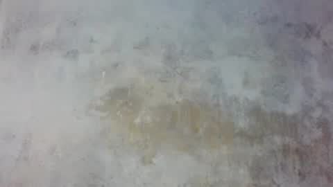 Prince edi online show from 25, 5, 2026