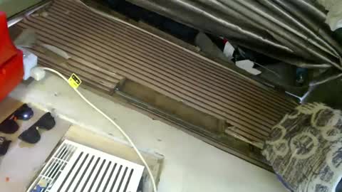  My Love online show from 24, 1, 2025