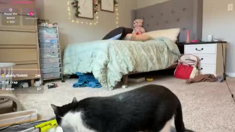 Sable online show from 30, 3, 2026