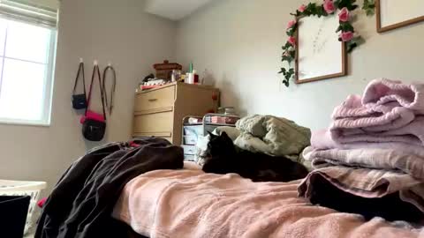 Snapshot of princessbaby525 chatting on 9, 5, 2026 Sable online show from 9, 5, 2026