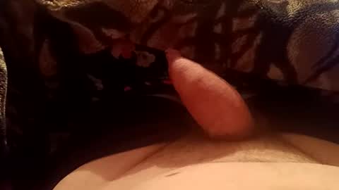 prinztobias30 online show from 20, 11, 2025