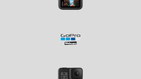 prittinho online show from 16, 4, 2026