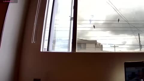 Probardetodo independent model online show from 3, 12, 2025