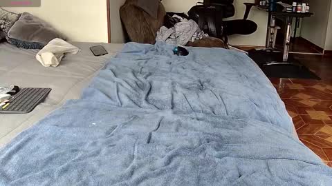 Probardetodo independent model online show from 1, 2, 2026