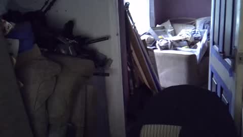 projectorepson online show from 10, 9, 2025