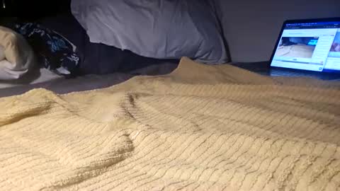 ptut82 online show from 27, 11, 2025