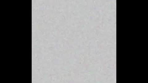 Timmy online show from 31, 10, 2025