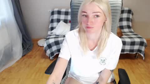 Polly online show from 11, 4, 2026