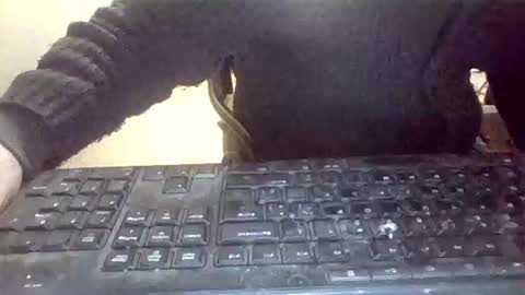 Snapshot of pup_y chatting on 31, 1, 2026 pup_y online show from 31, 1, 2026