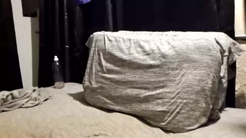 pupdoom9522 online show from 15, 6, 2026