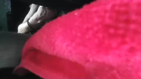 Snapshot of puppah626 chatting on 1, 1, 2025 Puppah626 Phoenyx 39s Room online show from 1, 1, 2025