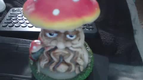 Snapshot of puppah626 chatting on 15, 1, 2025 Puppah626 Phoenyx 39s Room online show from 15, 1, 2025