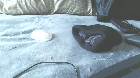 Snapshot of puppah626 chatting on 17, 1, 2025 Puppah626 Phoenyx 39s Room online show from 17, 1, 2025