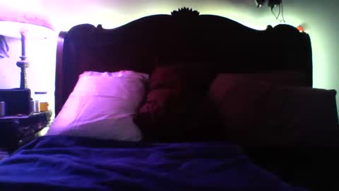 Snapshot of puppah626 chatting on 26, 2, 2025 Puppah626 Phoenyx 39s Room online show from 26, 2, 2025