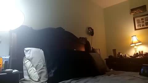 Snapshot of puppah626 chatting on 11, 3, 2025 Puppah626 Phoenyx 39s Room online show from 11, 3, 2025
