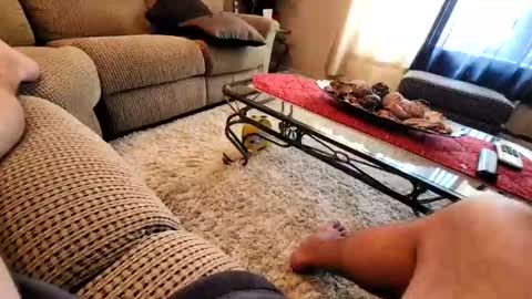 purdyguy7777 online show from 19, 3, 2026