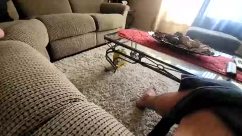 purdyguy7777 online show from 20, 3, 2026