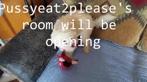 Snapshot of pussyeat2please chatting on 25, 2, 2025 Rick online show from 25, 2, 2025