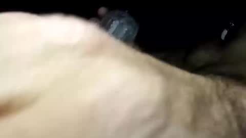 Pussyluver420 online show from 11, 11, 2025