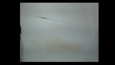 Snapshot of pussyxwetx chatting on 4, 2, 2026 pussyxwetx online show from 4, 2, 2026