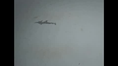 Snapshot of pussyxwetx chatting on 27, 2, 2026 pussyxwetx online show from 27, 2, 2026