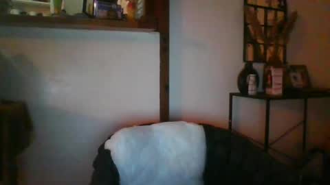 Python online show from 31, 7, 2026