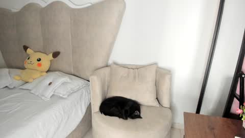 natalia  -  online show from 17, 12, 2024