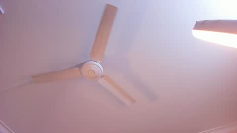 Rachel online show from 3, 1, 2025