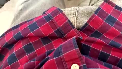 rad2615782 online show from 10, 2, 2026