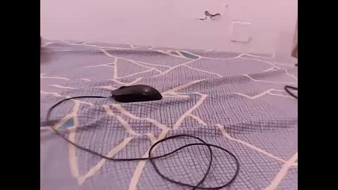 RAMAN online show from 1, 12, 2025