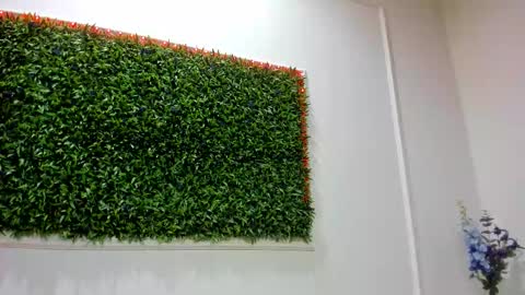 Rania online show from 17, 1, 2026