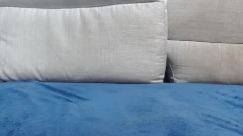 Ray  online show from 22, 5, 2026