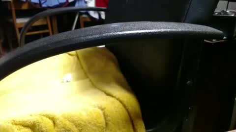 Ray online show from 17, 4, 2026