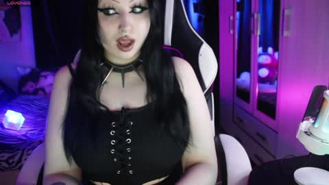 My kittensIm on vacation until July 25th. You can join the fan club  free content  online show from 13, 4, 2026