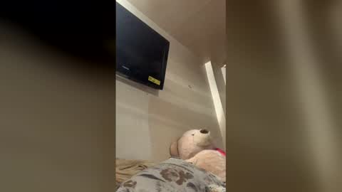 reallife1993 online show from 1, 2, 2026