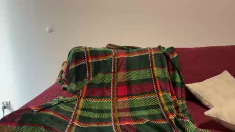 realpaddy online show from 22, 6, 2026