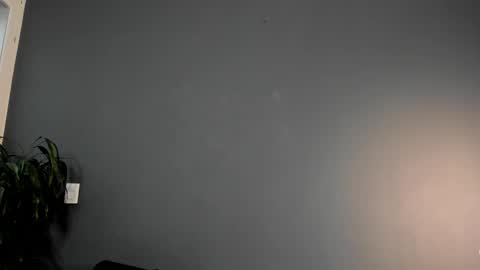 twitter REECET26 instagram RECCETAYLOR online show from 1, 3, 2025