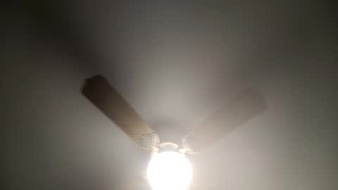 red24devils online show from 12, 3, 2025