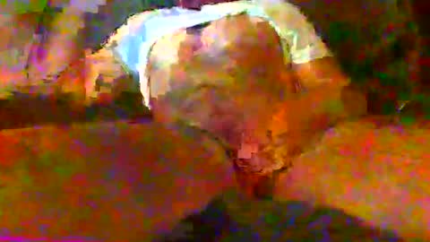 redtxchopper online show from 18, 11, 2025