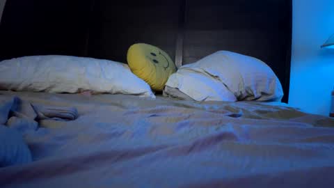 Lee online show from 1, 1, 2025