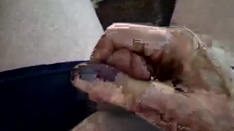 reggie007007 online show from 16, 2, 2026